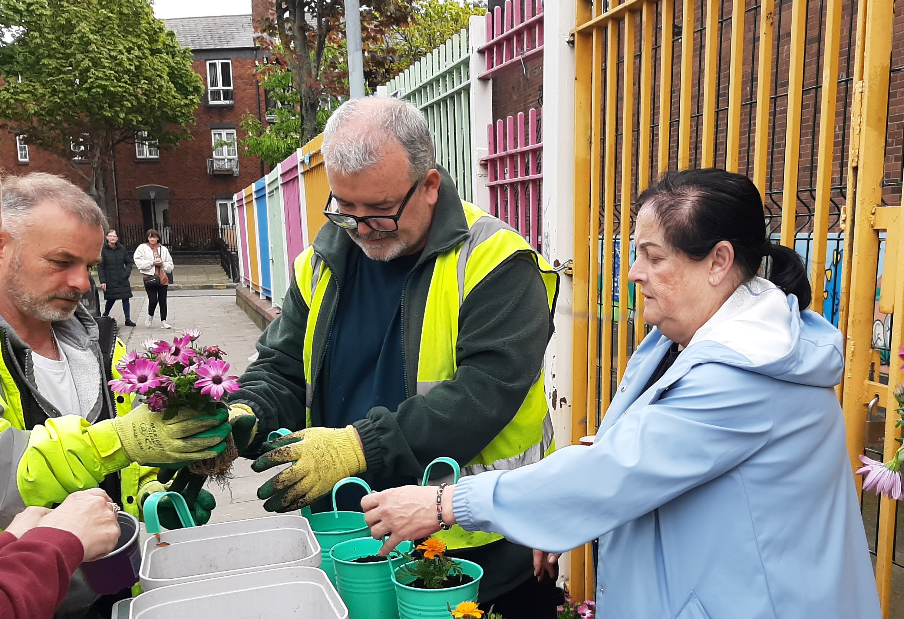 planting demo